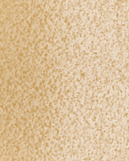 The Dewy Day Recarga