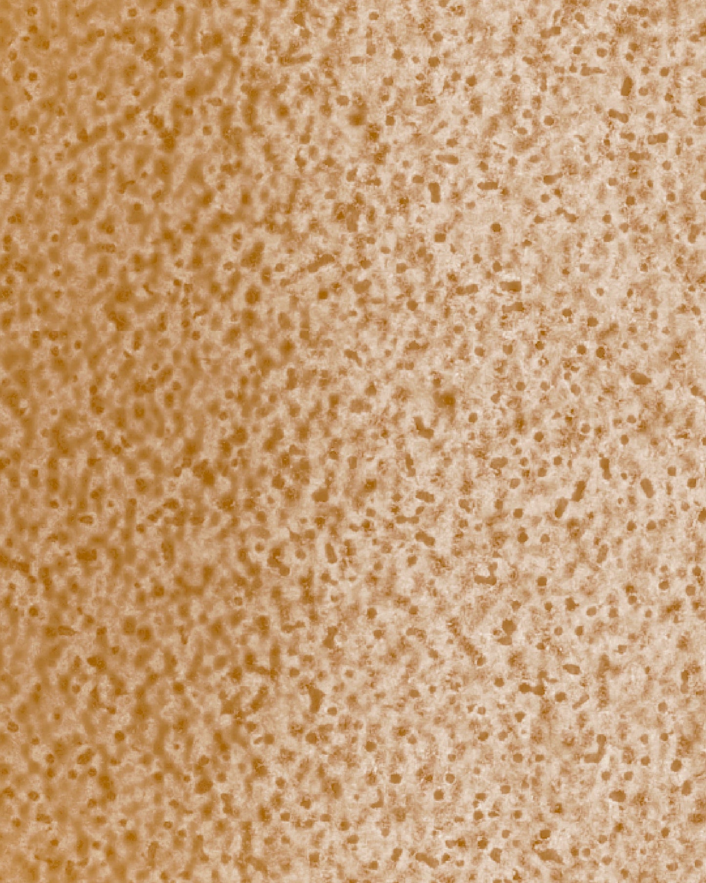 The Dewy Day Recarga