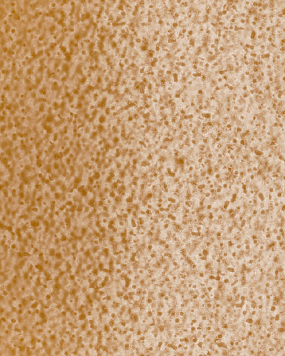 The Dewy Day Recarga