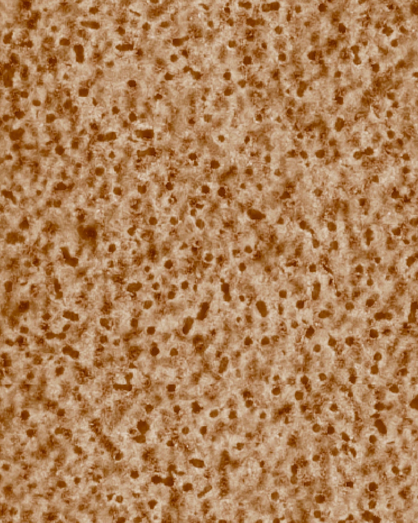 The Dewy Day Recarga