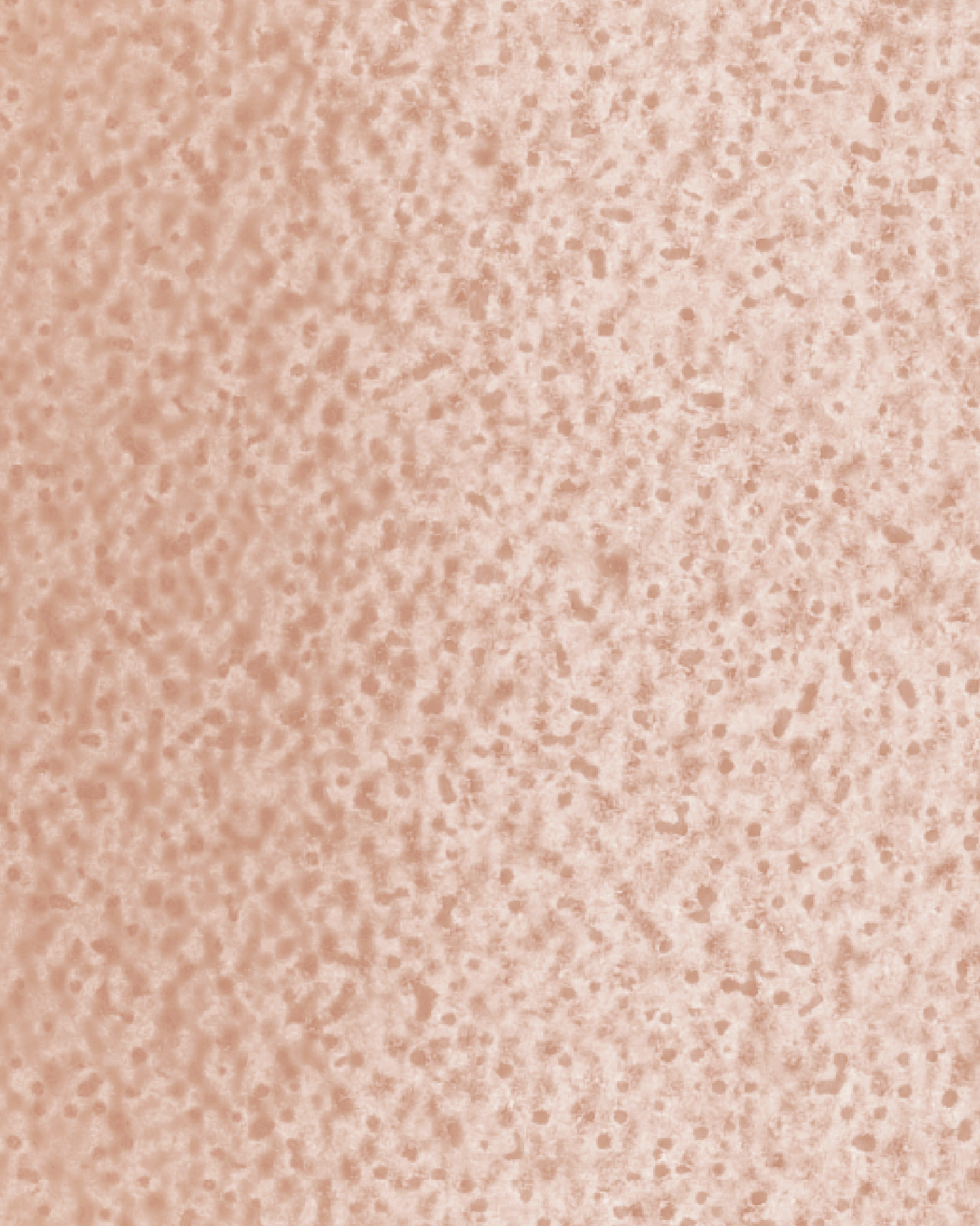 The Dewy Day Recarga