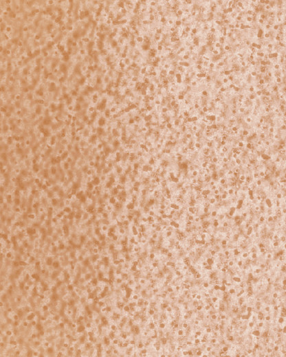 The Dewy Day Recarga