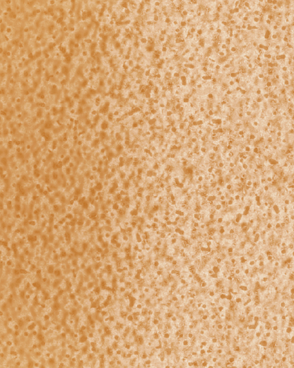 The Dewy Day Recarga