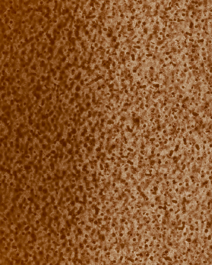 The Dewy Day Recarga