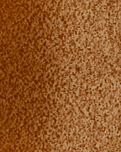 The Dewy Day Recarga