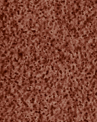 The Dewy Day Recarga