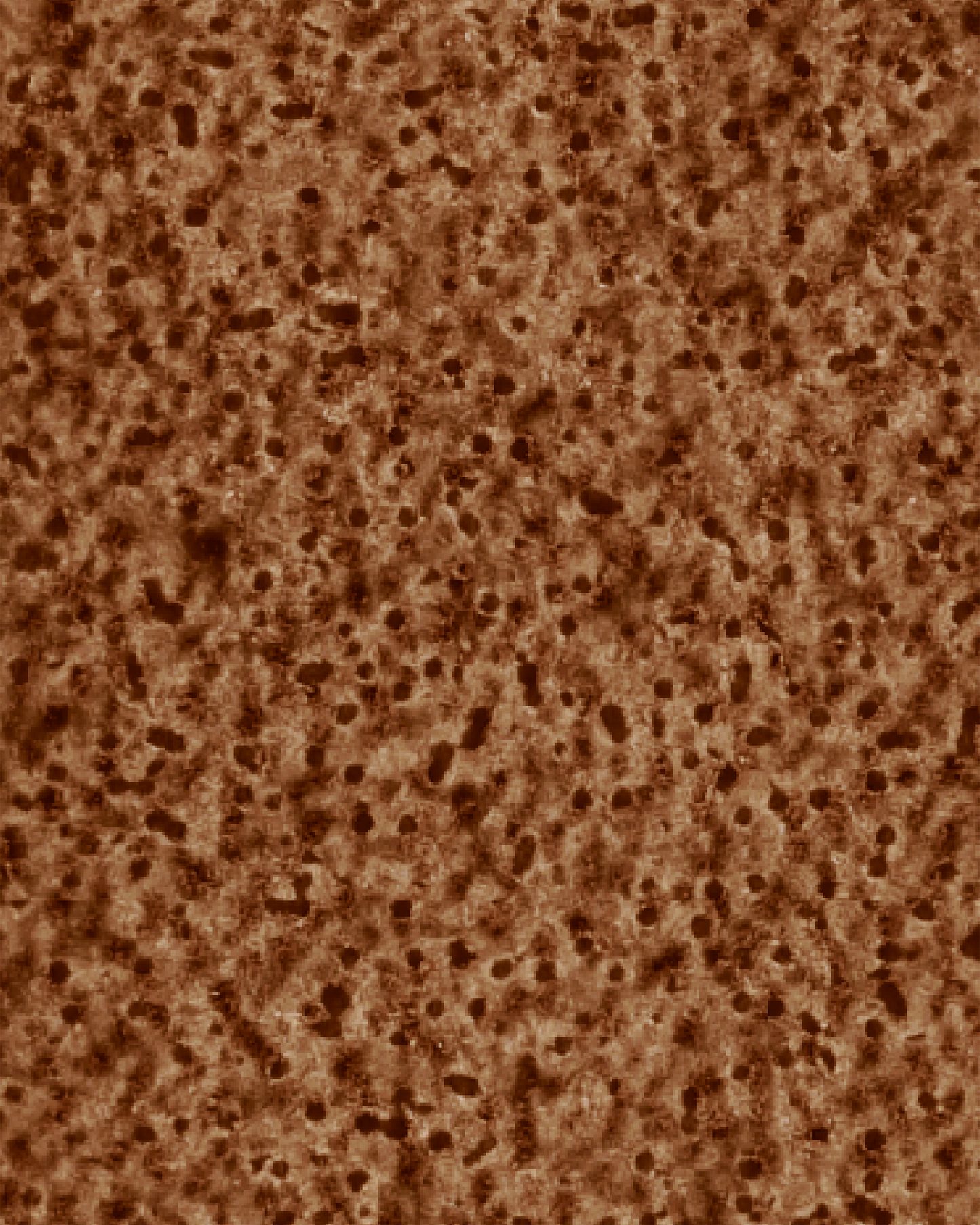 The Dewy Day Recarga