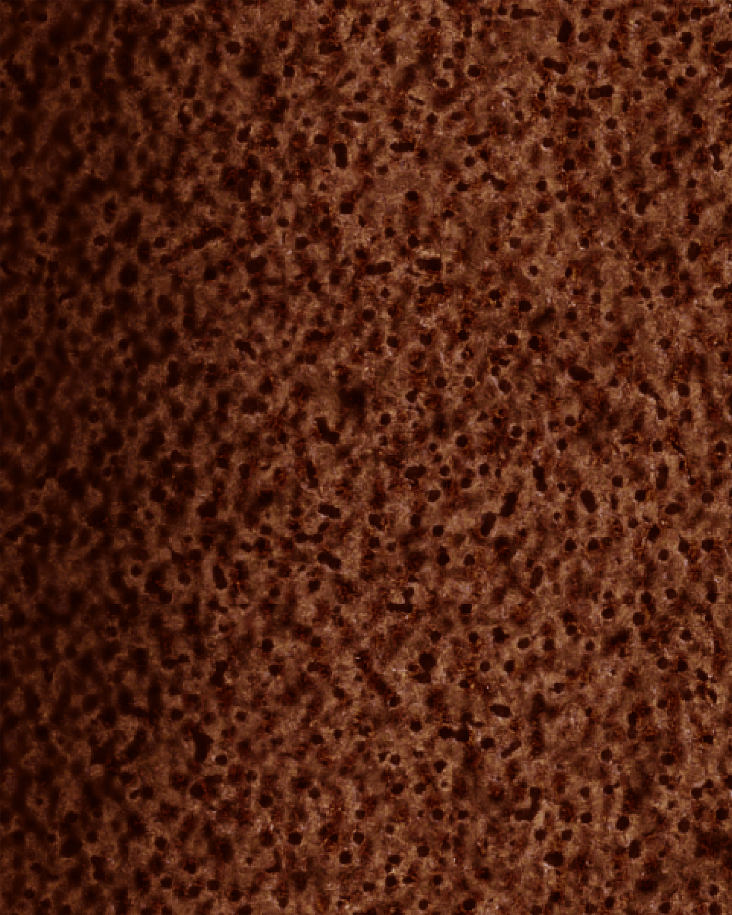 The Dewy Day Recarga