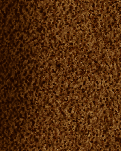 The Dewy Day Recarga