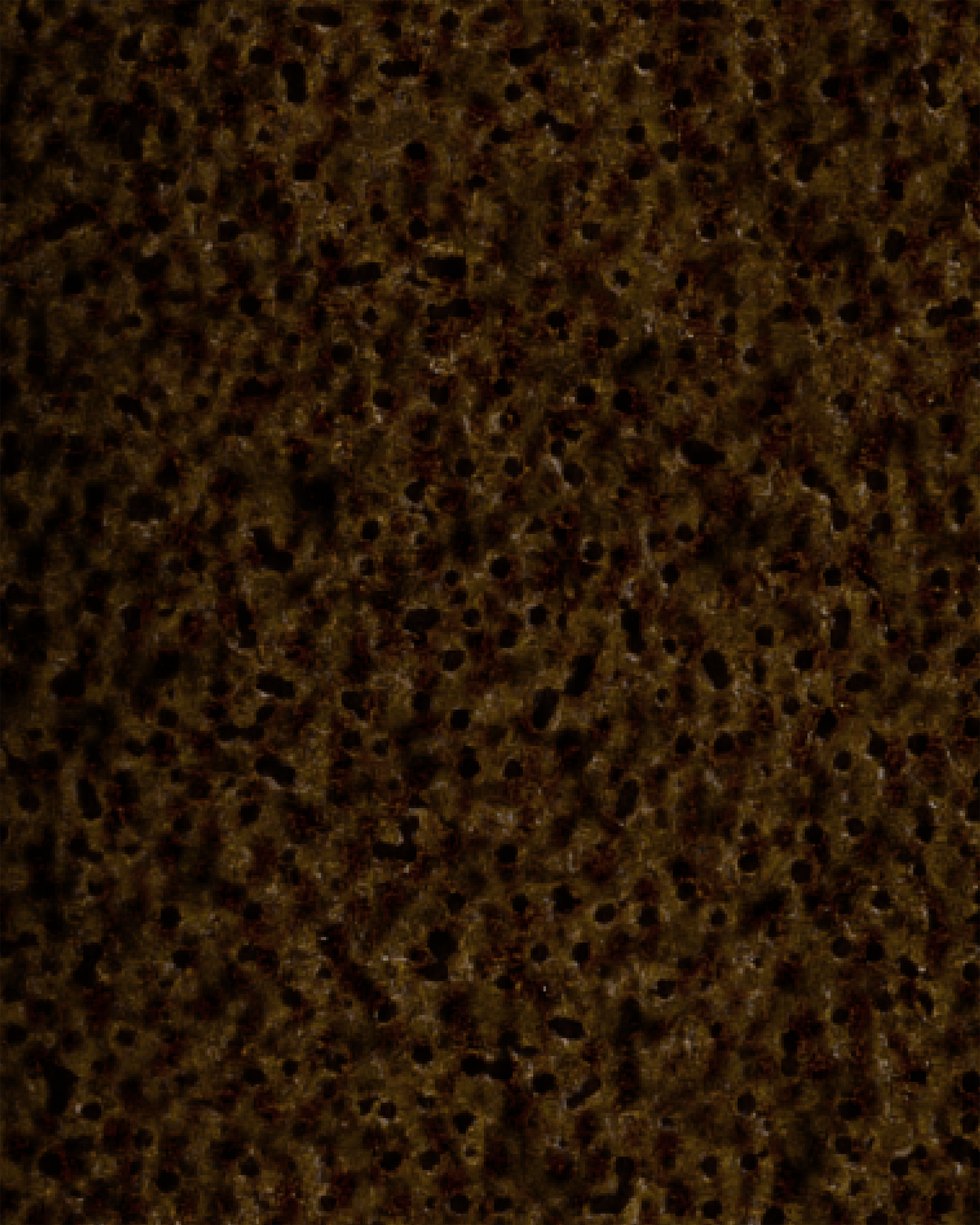 The Dewy Day Recarga